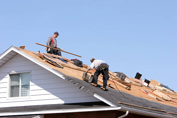 Best Cold Roofs  in West Springfield, VA